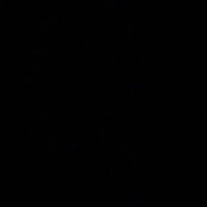 Meet your Posher, Lanie